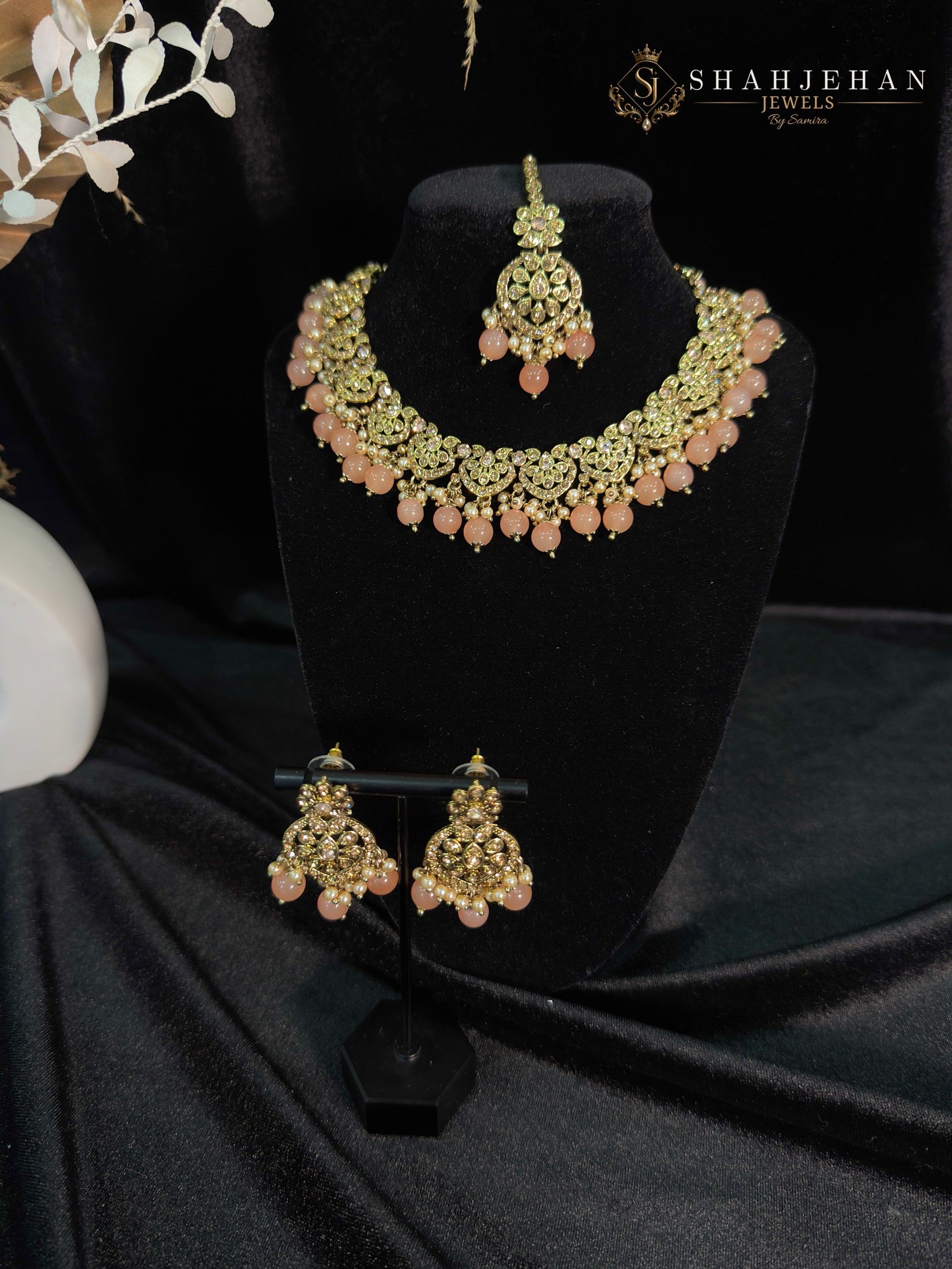 Noor-e-Zeba Set – The Blush Royal Collection